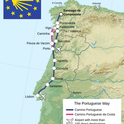 Camino25